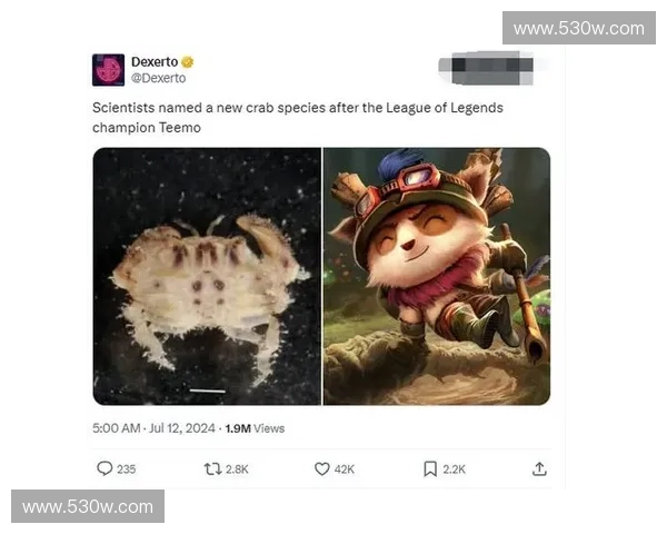 英雄联盟中提莫的全面解析与隐藏实力揭示 英雄联盟中提莫的全面解析与隐藏实力揭示